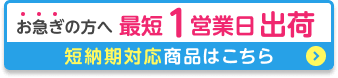 お急ぎの方へ最短１営業日出荷