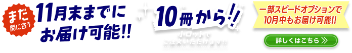 11月までお届け可能
