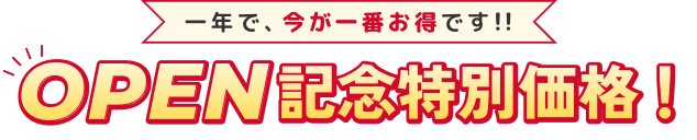 OPEN記念特別価格